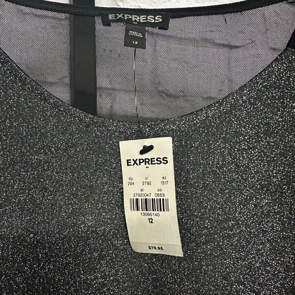 Express Sheer Shimmer Dress - NWT - Picture 4 of 5
